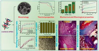 Stimuli-responsive injectable chitosan-based hydrogels for controlled drug delivery systems